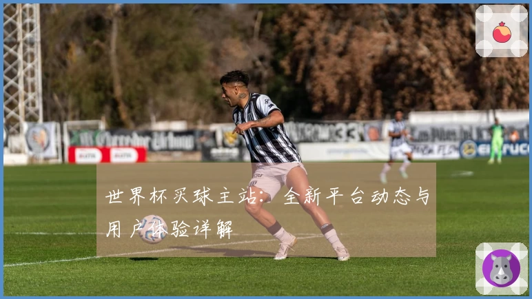 世界杯买球主站：全新平台动态与用户体验详解