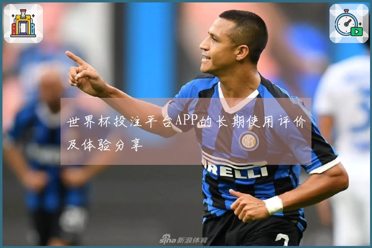 世界杯投注平台APP的长期使用评价及体验分享