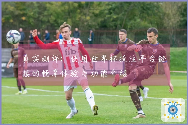 真实测评：使用世界杯投注平台链接的畅享体验与功能介绍