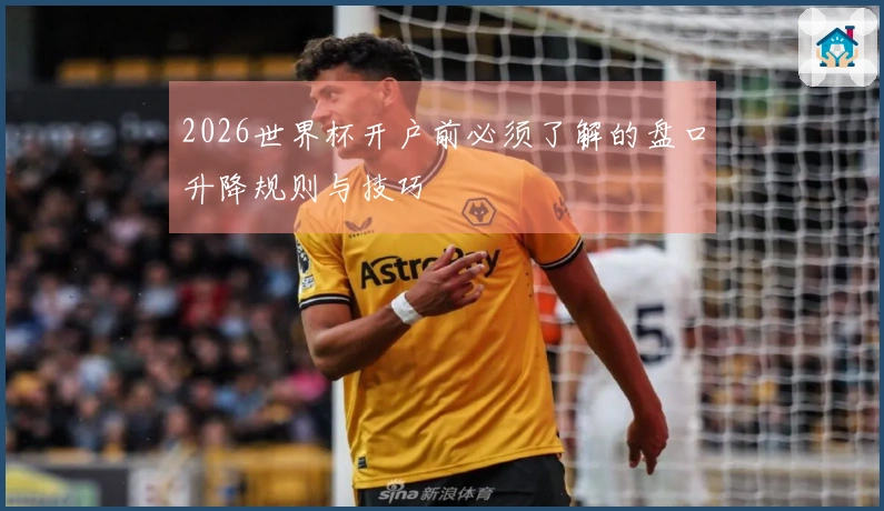 2026世界杯开户前必须了解的盘口升降规则与技巧