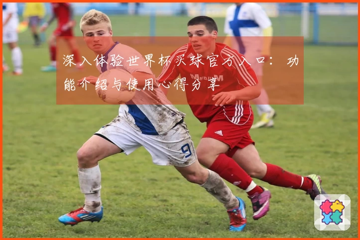 深入体验世界杯买球官方入口：功能介绍与使用心得分享