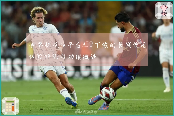 世界杯投注平台APP下载的长期使用体验评测与功能概述