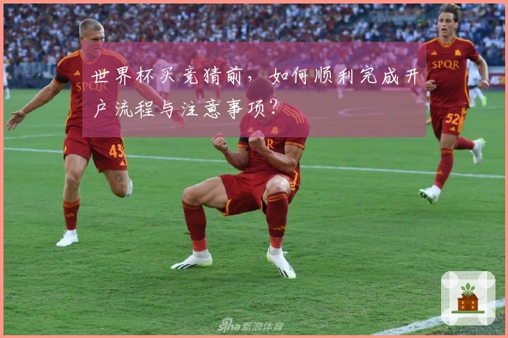 世界杯买竞猜前，如何顺利完成开户流程与注意事项？