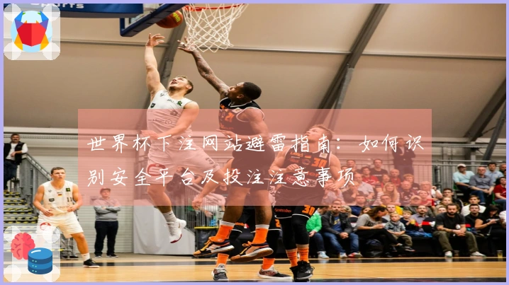 世界杯下注网站避雷指南：如何识别安全平台及投注注意事项