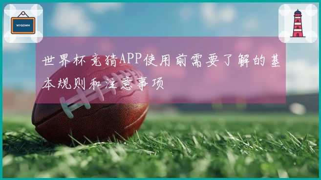 世界杯竞猜APP使用前需要了解的基本规则和注意事项