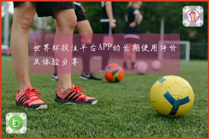 世界杯投注平台APP的长期使用评价及体验分享