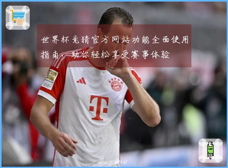 世界杯竞猜官方网站功能全面使用指南，助你轻松享受赛事体验