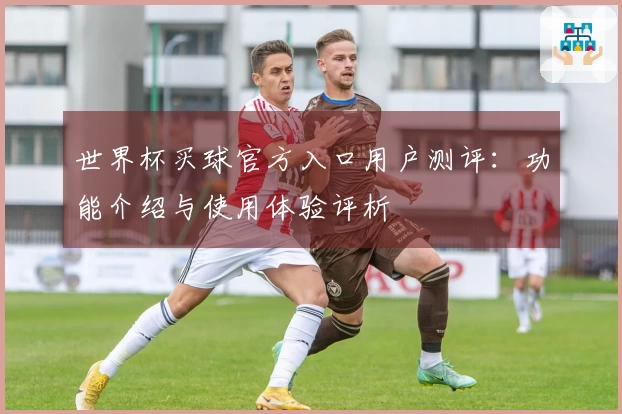 世界杯买球官方入口用户测评：功能介绍与使用体验评析