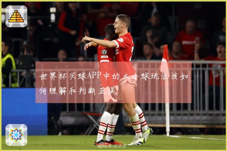 世界杯买球APP中的大小球玩法该如何理解和判断正误