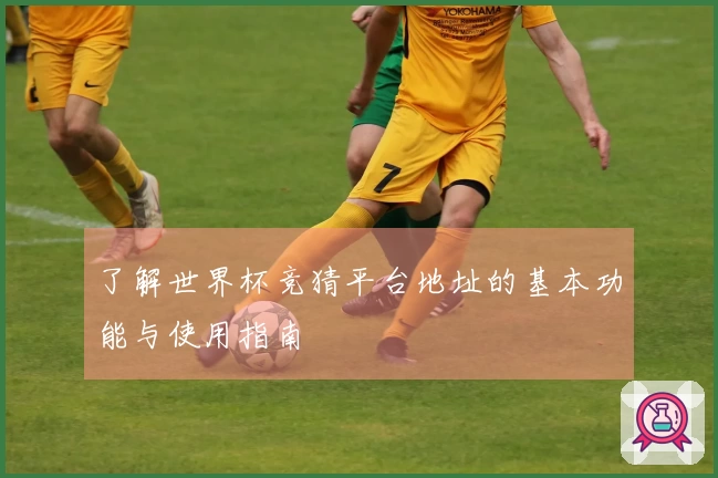 了解世界杯竞猜平台地址的基本功能与使用指南