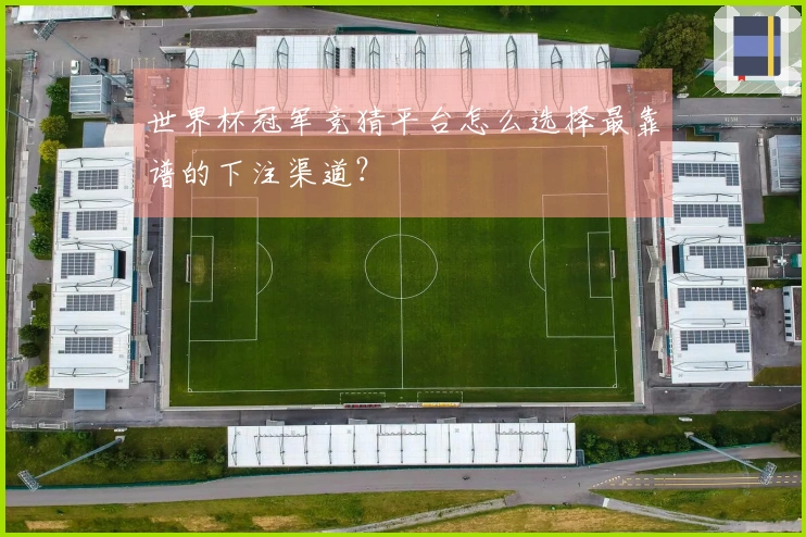 世界杯冠军竞猜平台怎么选择最靠谱的下注渠道？